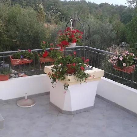 Apartment Josip Risika