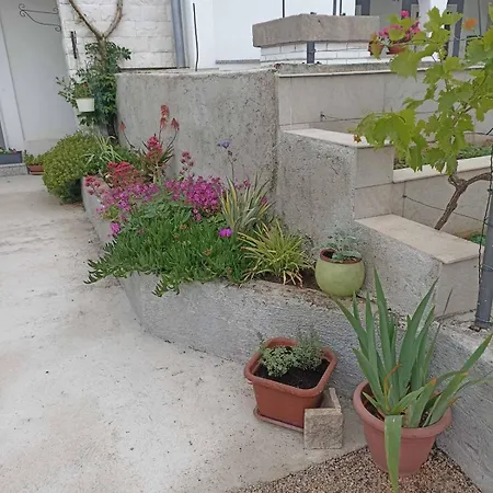 Josip Apartment Risika